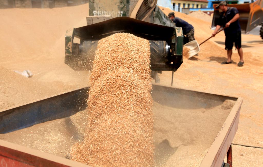 bwin网站：科技赋能！“汗水农业”向“智慧农业”加速迈进(图3)