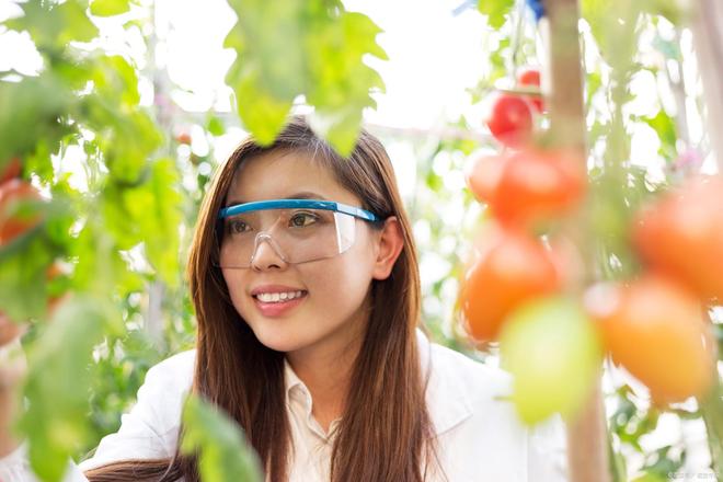 bwin网站：2026年农业强国施工图曝光！七项任务颠覆你我饮食！(图3)