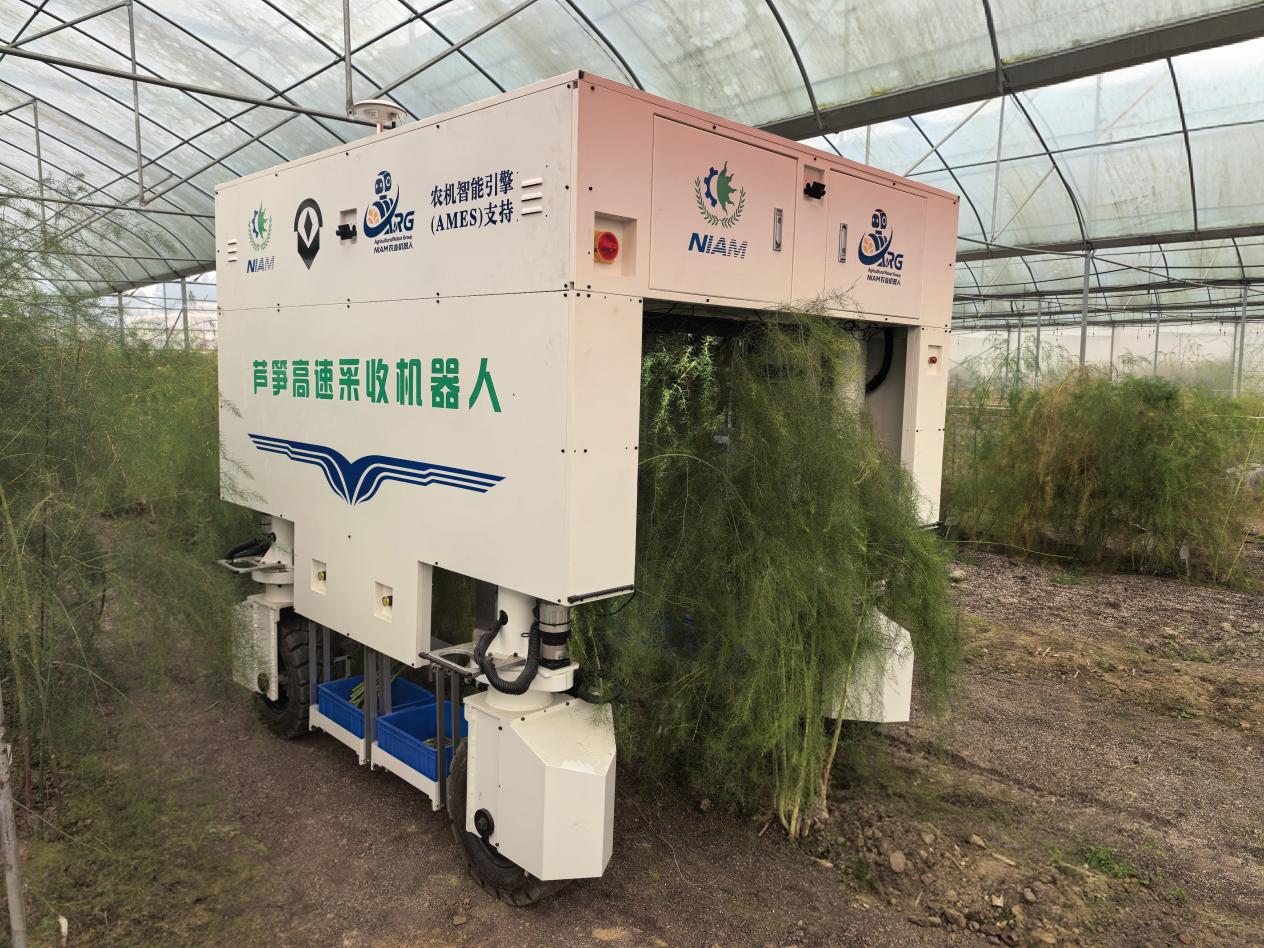 必赢：每小时采收2500根！我国首台芦笋高速采收机器人问世(图1)