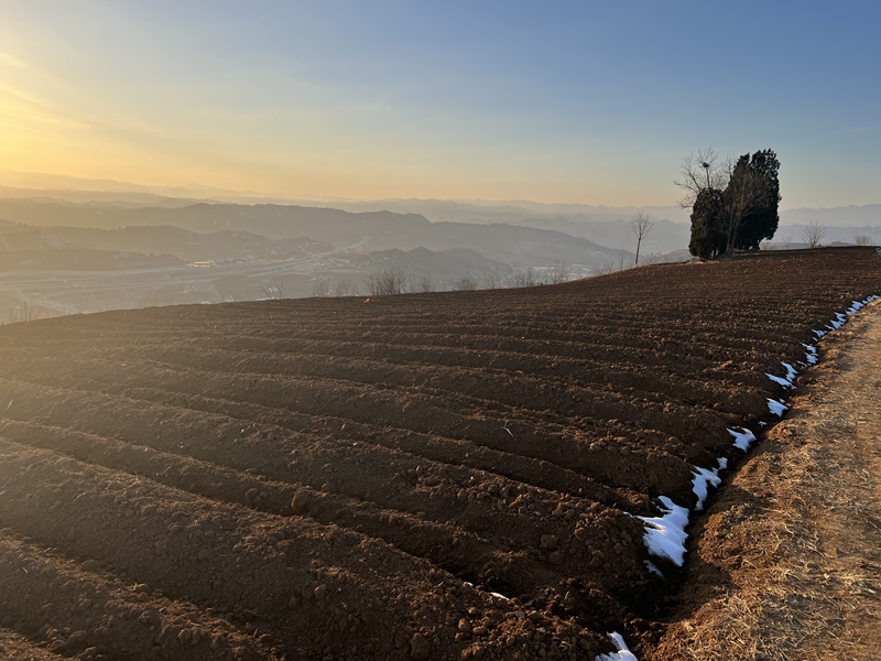 必赢：河南卢氏：机械冬耕跑出山区烟叶生产“加速度”(图1)