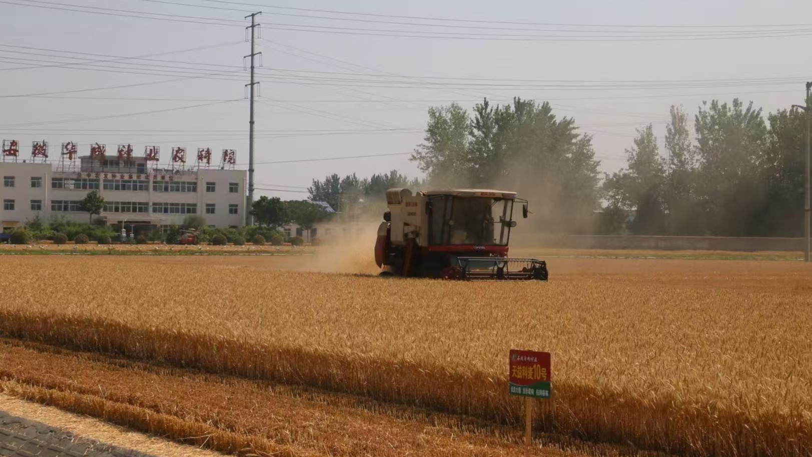 必赢国际：跨越从一粒良种到万顷丰仓解锁大国粮仓“科技密码”(图1)