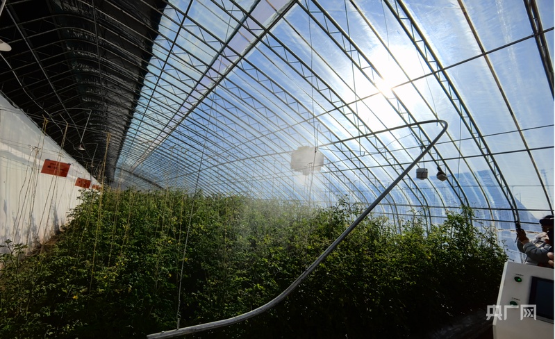 必赢国际：从“会种地”到“慧种地”：银川智慧农业书写新答卷(图2)