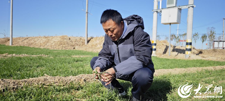 bwin网站：通水+养地+科技增产“三板斧”筑起德州种粮大户孙景茂家的吨半“良”田(图1)