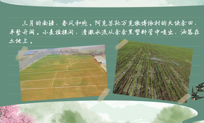 bwin网站：春耕时节我们在行动_光明网(图6)