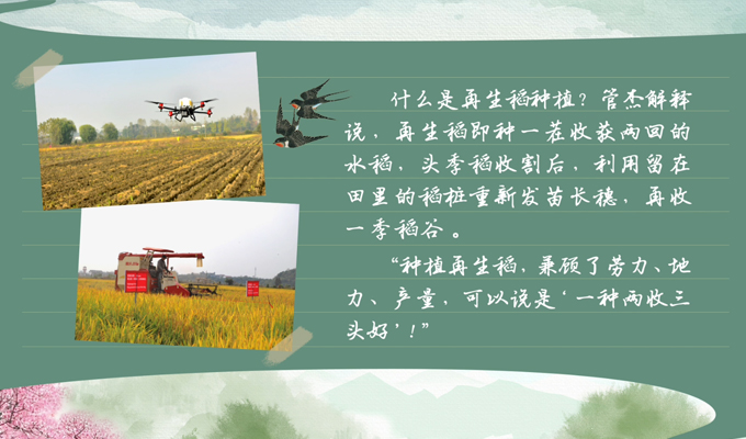 bwin网站：春耕时节我们在行动_光明网(图2)