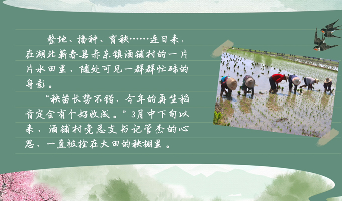 bwin网站：春耕时节我们在行动_光明网(图1)