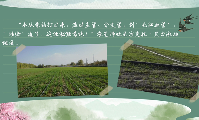 bwin网站：春耕时节我们在行动_光明网(图7)