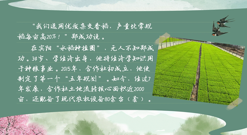 bwin网站：春耕时节我们在行动_光明网(图12)