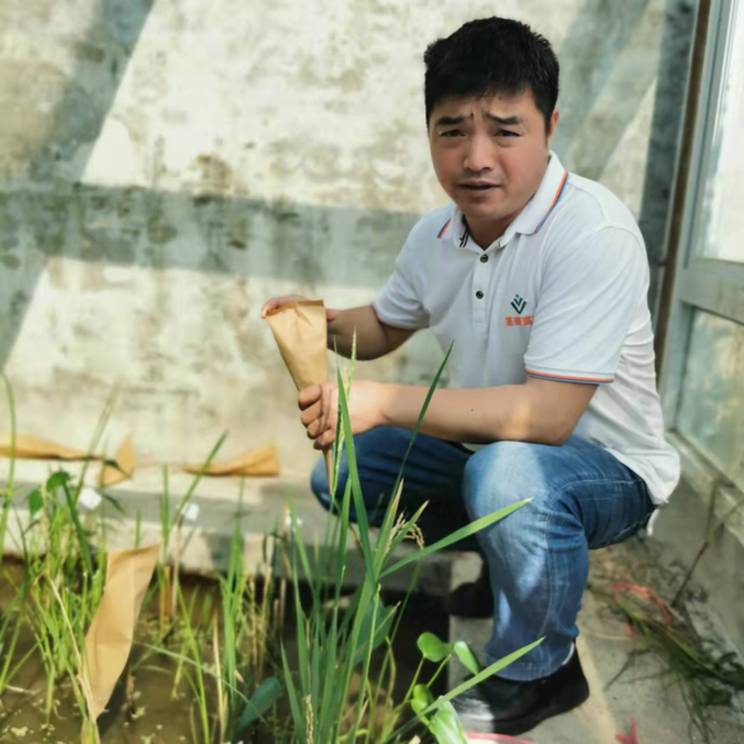 bwin网站：春耕时节我们在行动_光明网(图22)