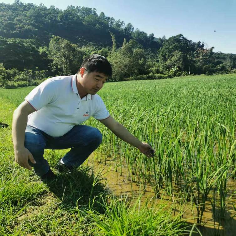 bwin网站：春耕时节我们在行动_光明网(图21)