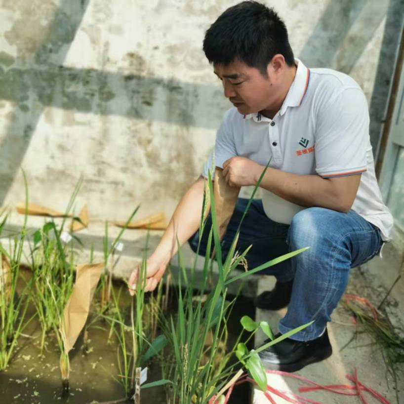 bwin网站：春耕时节我们在行动_光明网(图23)