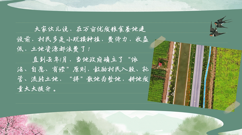 bwin网站：春耕时节我们在行动_光明网(图31)