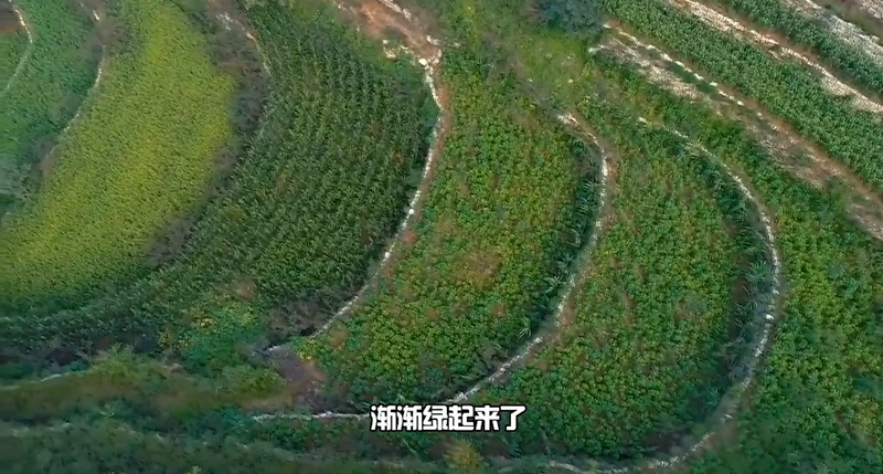 bwin网站：春耕时节我们在行动_光明网(图37)