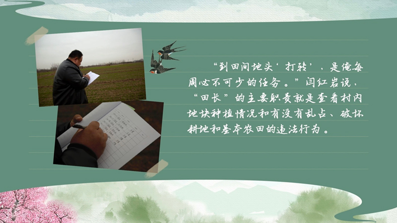 bwin网站：春耕时节我们在行动_光明网(图44)