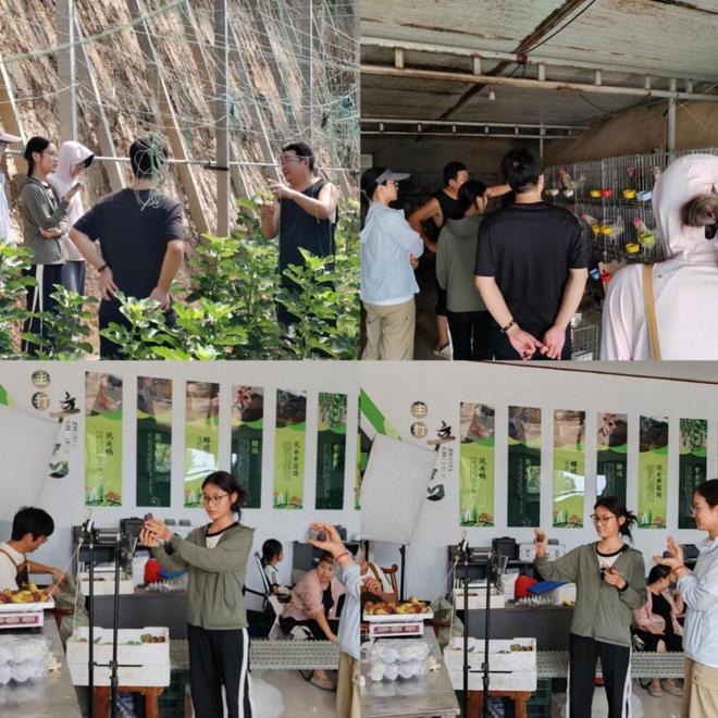 bwin网站：盐田焕彩乡村兴——山东农大“盐”路先行小队东营实践纪实(图3)