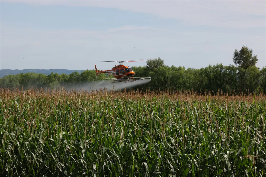 bwin网站：聚焦北大荒丨高产是怎样炼成的北安分公司主要粮食作物大面积单产提升成效显著(图3)