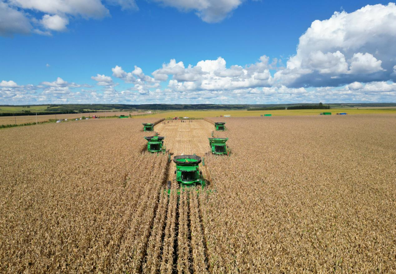 bwin网站：聚焦北大荒丨高产是怎样炼成的北安分公司主要粮食作物大面积单产提升成效显著(图1)