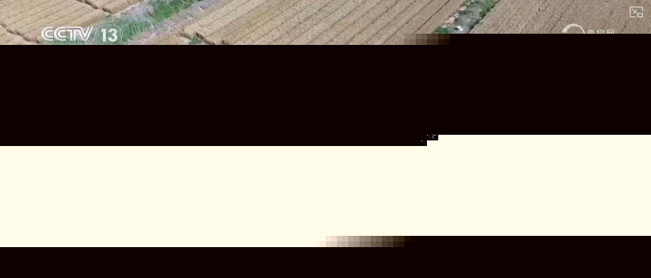 bwin网站：以种适地、以虫治虫……科技赋能“三夏”“智慧种地”绘就好“丰”景(图3)