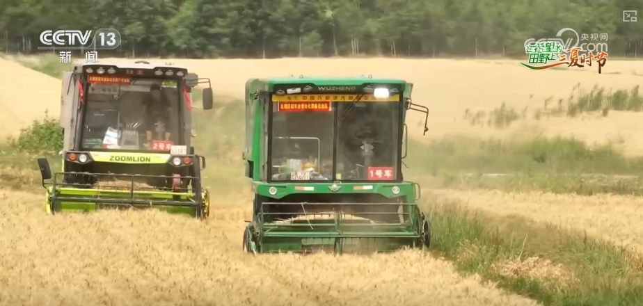 bwin网站：以种适地、以虫治虫……科技赋能“三夏”“智慧种地”绘就好“丰”景(图4)
