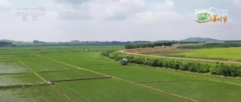 bwin网站：以种适地、以虫治虫……科技赋能“三夏”“智慧种地”绘就好“丰”景(图7)