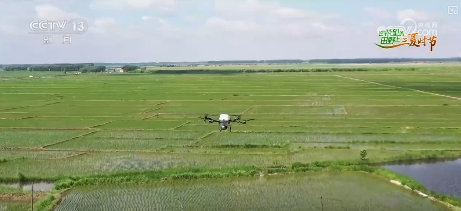bwin网站：以种适地、以虫治虫……科技赋能“三夏”“智慧种地”绘就好“丰”景(图9)