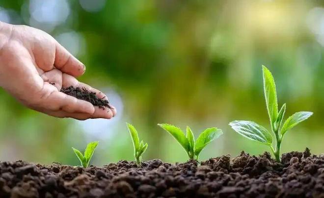 必赢：2026中央一号文件解读：化肥减量增效背后的百亿商机(图2)