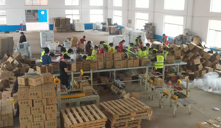 必赢：人间丨“地表最强菜贩子”王建文：一年卖菜46亿想让全国都知道寿光蔬菜的好(图4)