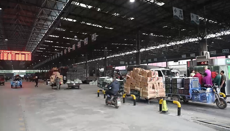 必赢：人间丨“地表最强菜贩子”王建文：一年卖菜46亿想让全国都知道寿光蔬菜的好(图5)