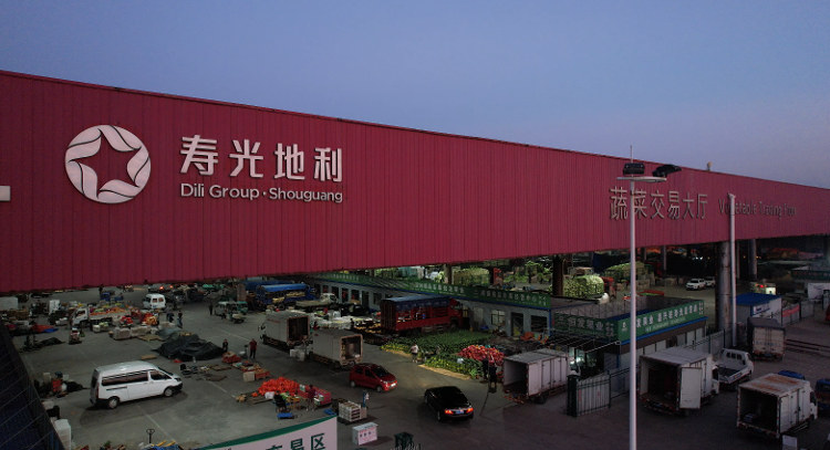 必赢：人间丨“地表最强菜贩子”王建文：一年卖菜46亿想让全国都知道寿光蔬菜的好(图6)