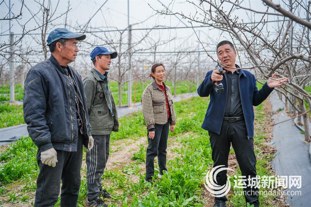 必赢国际：颗颗红香酥稳稳富民路(图3)