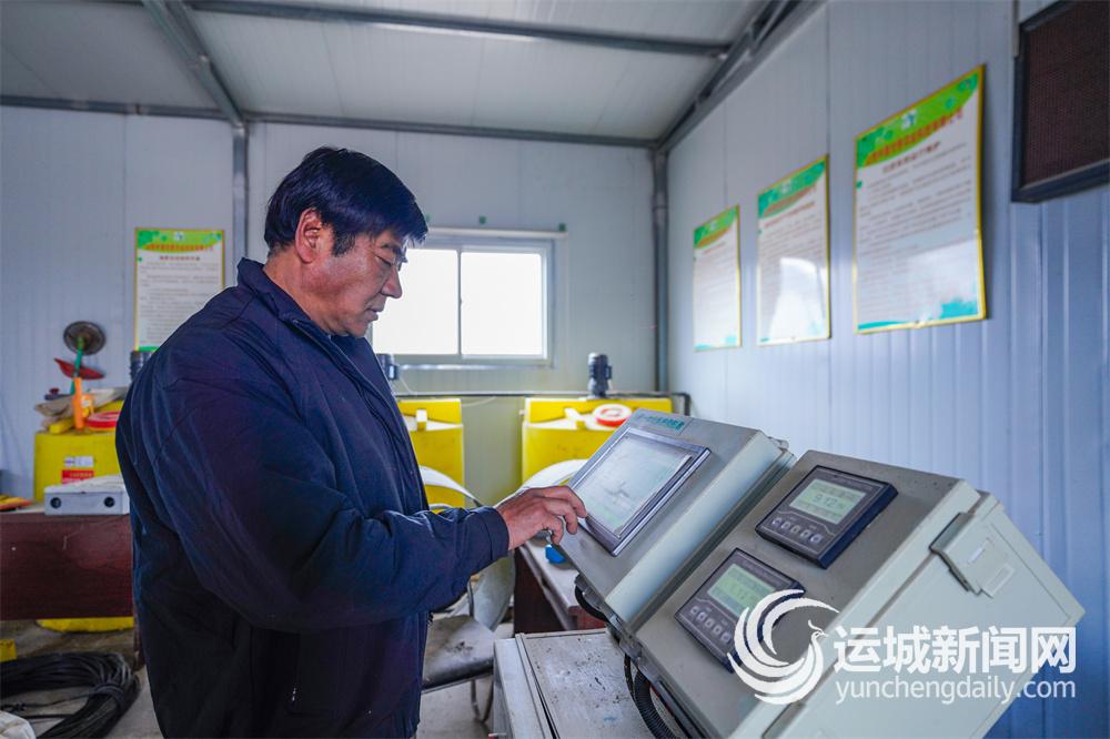 必赢国际：颗颗红香酥稳稳富民路(图1)