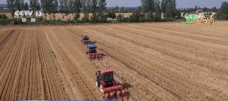 必赢：万物至盛欣欣向荣希望的田野上奏响丰收“欢歌”(图7)