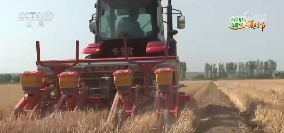 必赢：万物至盛欣欣向荣希望的田野上奏响丰收“欢歌”(图8)