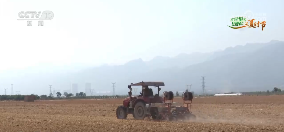 必赢：万物至盛欣欣向荣希望的田野上奏响丰收“欢歌”(图10)