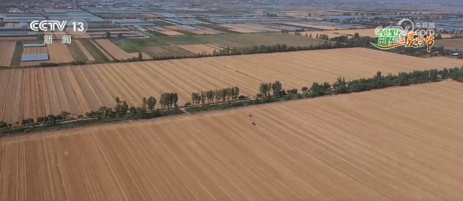 必赢：万物至盛欣欣向荣希望的田野上奏响丰收“欢歌”(图9)