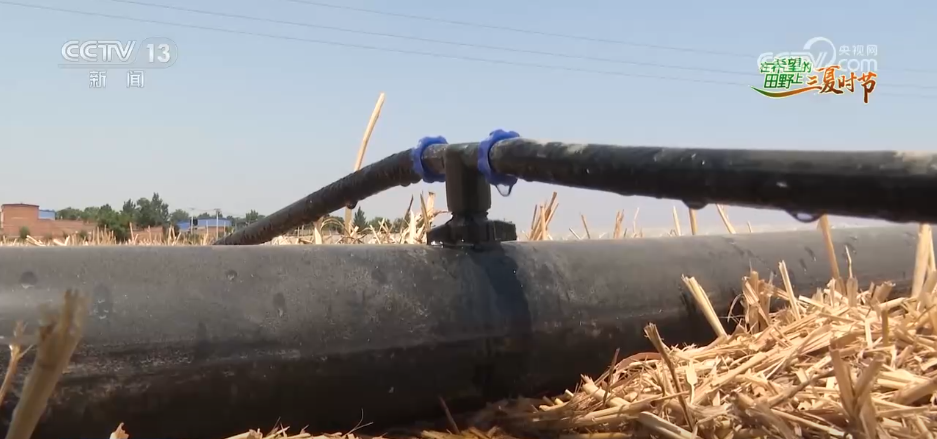 必赢：万物至盛欣欣向荣希望的田野上奏响丰收“欢歌”(图12)