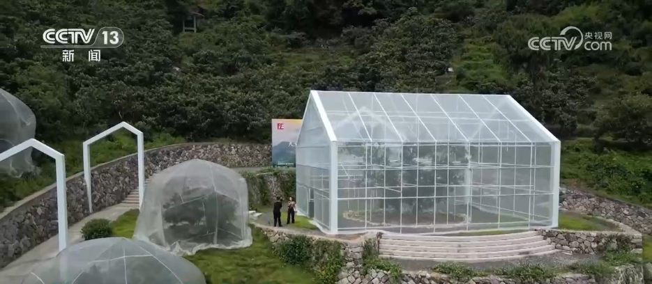 必赢：万物至盛欣欣向荣希望的田野上奏响丰收“欢歌”(图13)