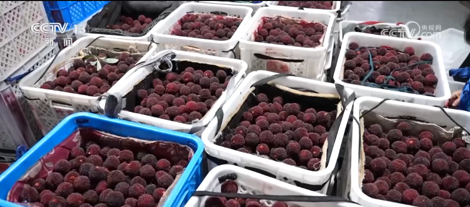 必赢：万物至盛欣欣向荣希望的田野上奏响丰收“欢歌”(图15)