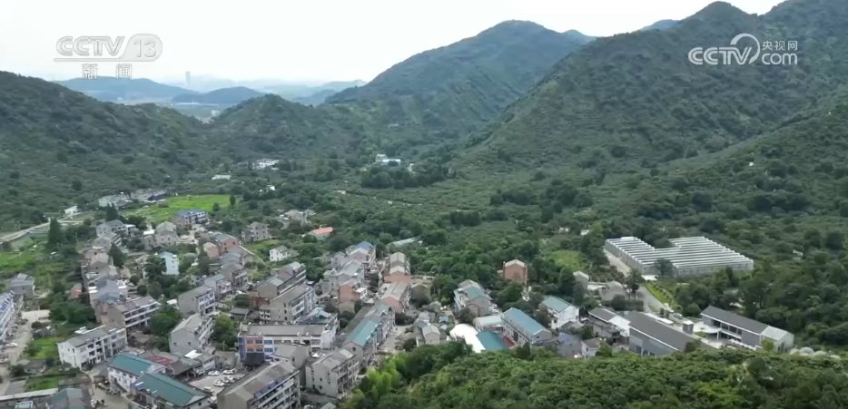 必赢：万物至盛欣欣向荣希望的田野上奏响丰收“欢歌”(图16)