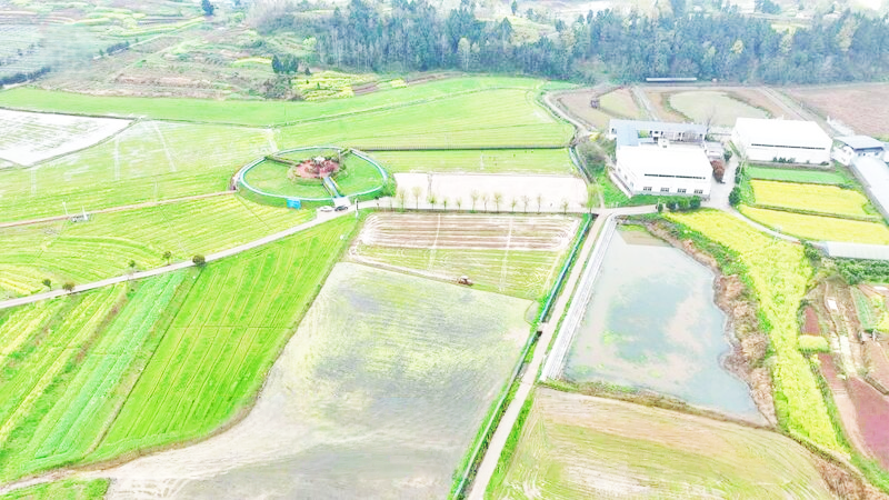 bwin网站：四川达州：春耕备耕忙不停整地育秧齐发力(图1)