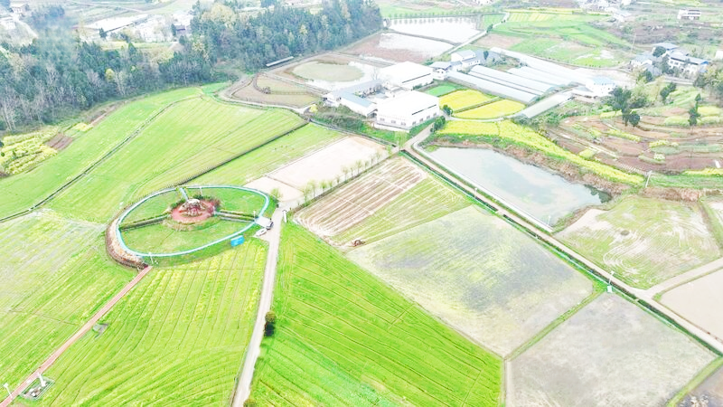 bwin网站：四川达州：春耕备耕忙不停整地育秧齐发力(图2)