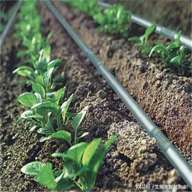 必赢：大田灌溉所需的水肥一体化设备(图2)