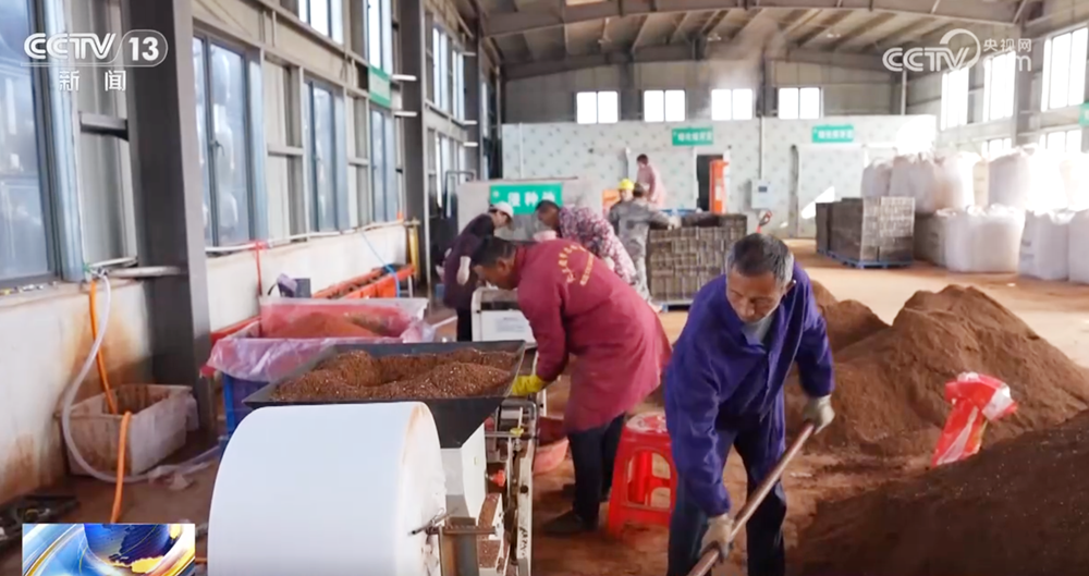 必赢国际：“农资足+社会化服务”让春管跑出“加速度”科技赋能勾勒活力“春耕图”(图3)