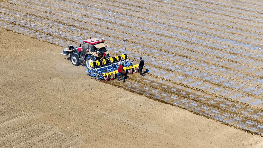 必赢：高质量发展“新”速度丨科技赋能引领新疆农业的智慧跨越(图1)