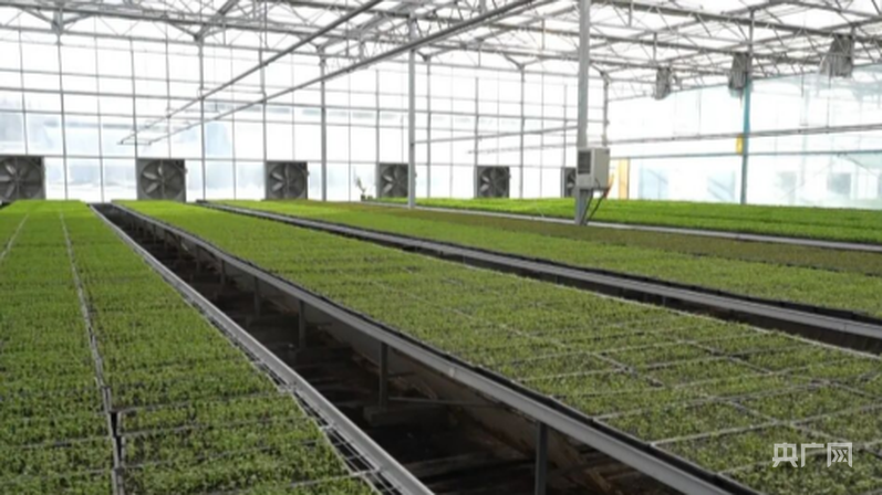 必赢：高质量发展“新”速度丨科技赋能引领新疆农业的智慧跨越(图3)