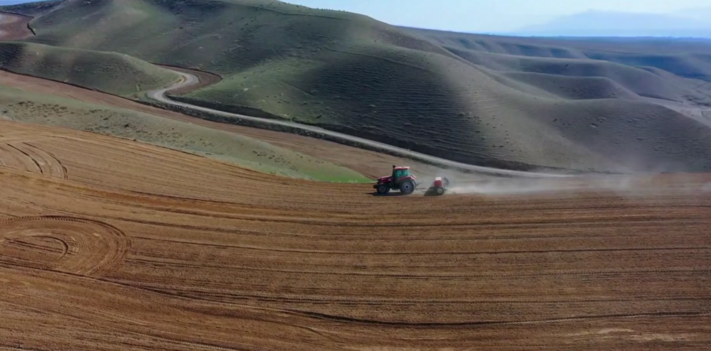 必赢：高质量发展“新”速度丨科技赋能引领新疆农业的智慧跨越(图4)