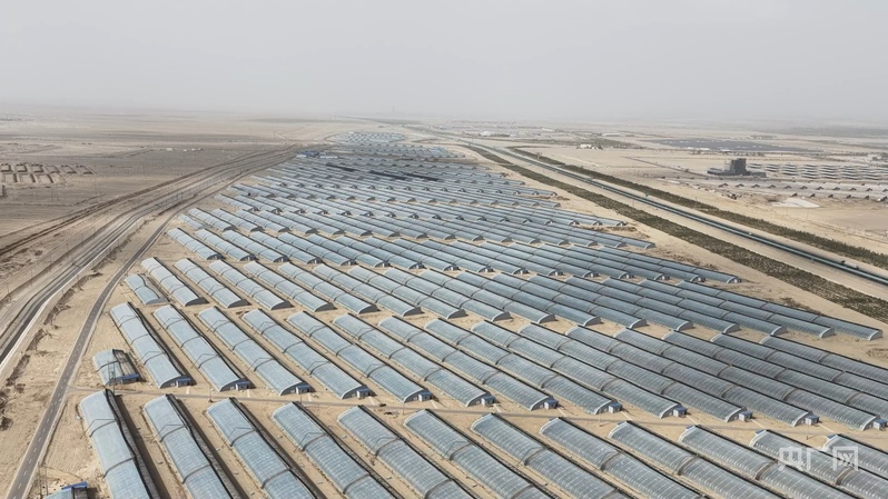 必赢：高质量发展“新”速度丨科技赋能引领新疆农业的智慧跨越(图5)