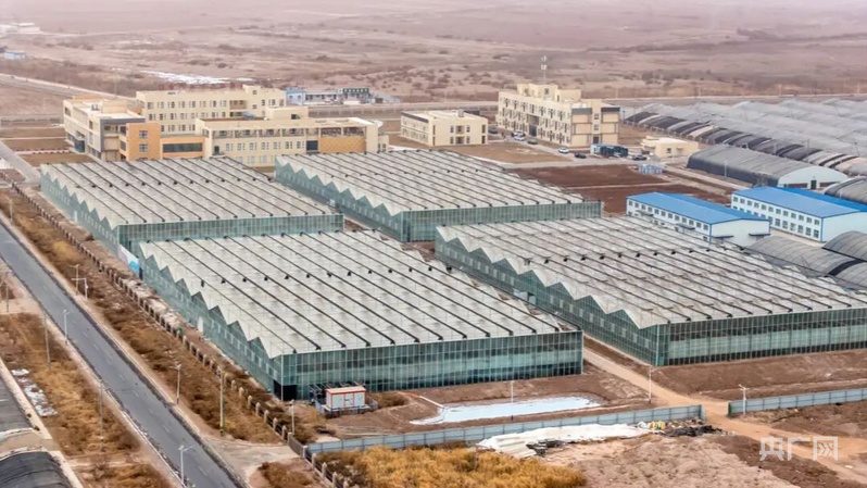 必赢：高质量发展“新”速度丨科技赋能引领新疆农业的智慧跨越(图6)