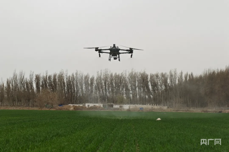 必赢：高质量发展“新”速度丨科技赋能引领新疆农业的智慧跨越(图8)