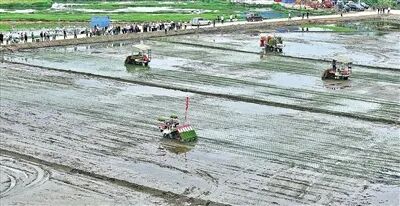 bwin网站：百万农机闹春耕｜沃野逐春光“铁牛”闹春耕(图1)